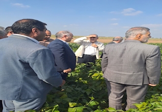 بازدید مجری دانه های روغنی کشور آقای دکتر منصوری و هیئت همراه هیئت همراه از مزرعه بذری آرین شرکت توسعه کشت دانه های روغنی  